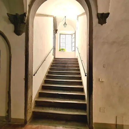 Casa Federico - In Pieno Centro Lägenhet Lucca